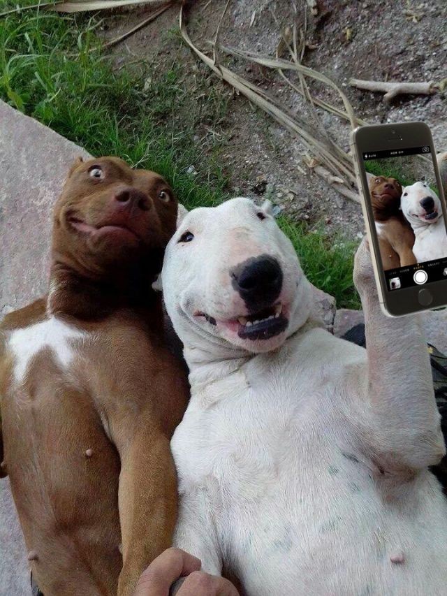 А как вы начинает это утро ?