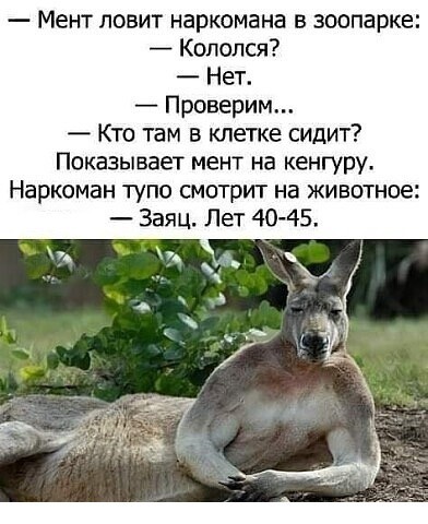 Картинки для деградации 54 (разной степени свежести)