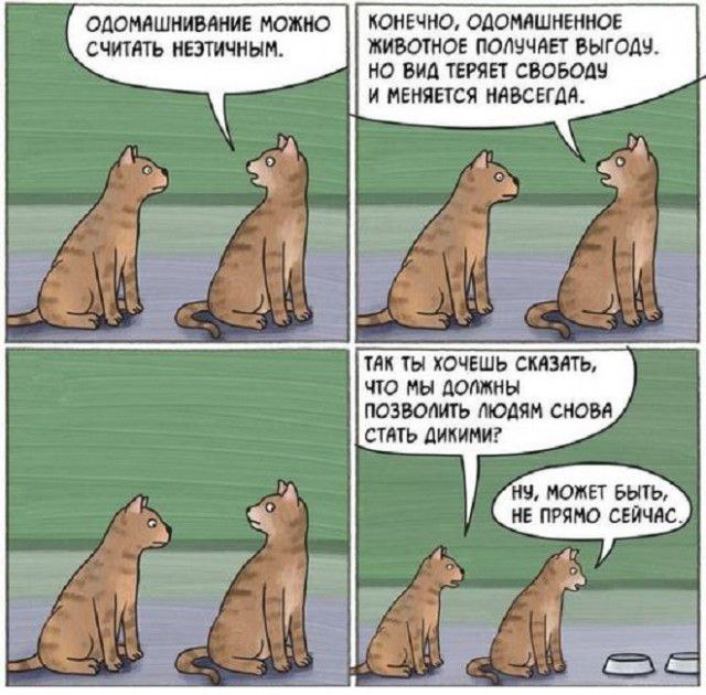 Среда обитания 0.1