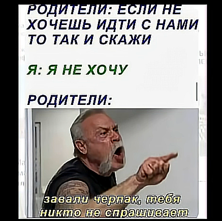 20568374.png