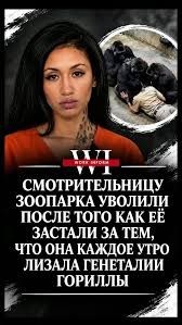 Лошадки в восторге