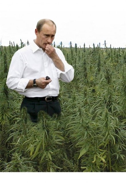 Если бы Даль попал в наше время...