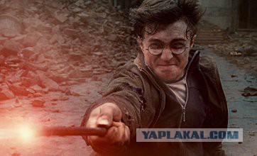 Как Гарри Поттер выгуливает собак