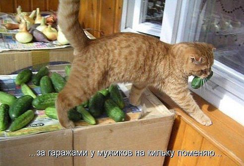 Немного позитива на пятницу.