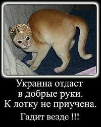 Война не повод для смеха, но....