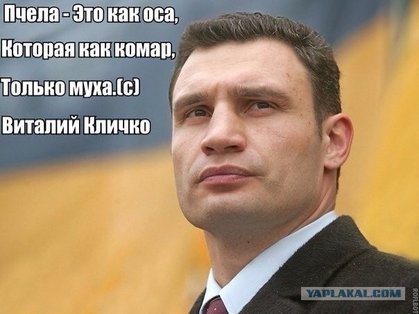 И снова он... Мастер Слова Кличко