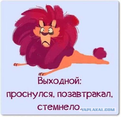 Математика выходных