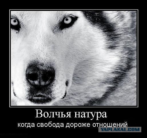 Давно демотиваторов не было