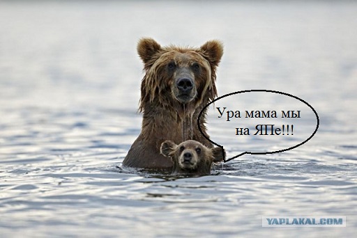 30 лучших снимков National Geographic за год