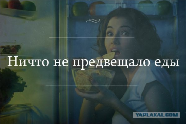 Ночной дожор
