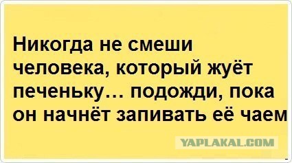 Веселости попавшиеся на глаза сегодня