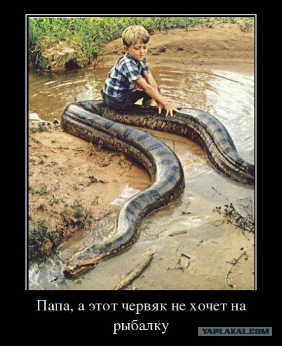Веселости которые встретились сегодня