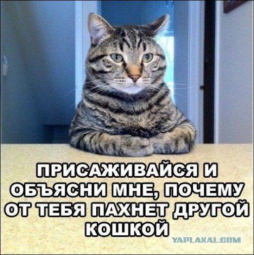 Традиционная пятничная подборка ВК и не только