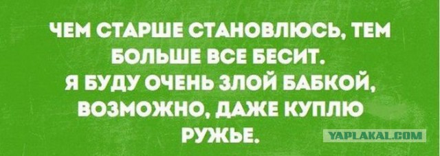 Тверская пенсионерка снесла детскую площадку