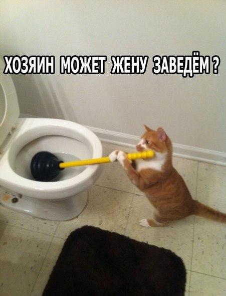 Картинки на утро вторника