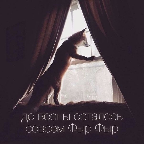 Картинки из ваших этих итернетов...