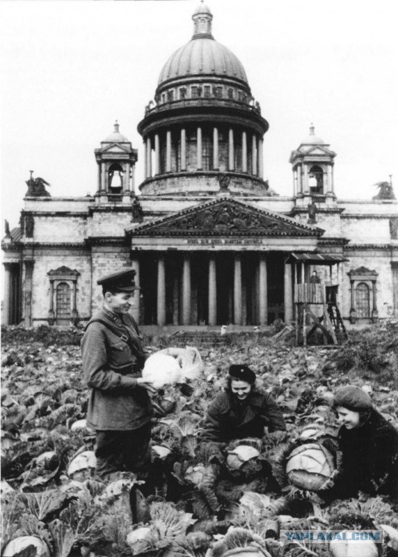 Фотографии с войны