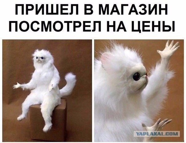 Картинок пост