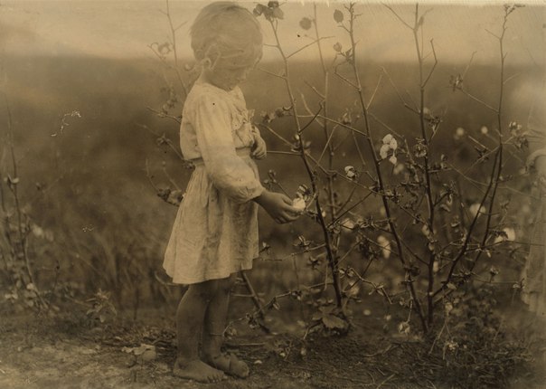 История в фотографиях