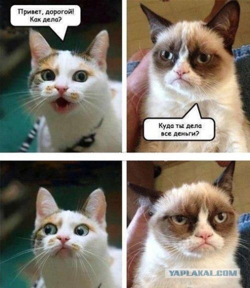 Смешные картинки с надписями