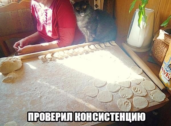 Подборка интересных и веселых картинок