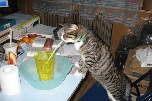 Для Поднятия Настроения