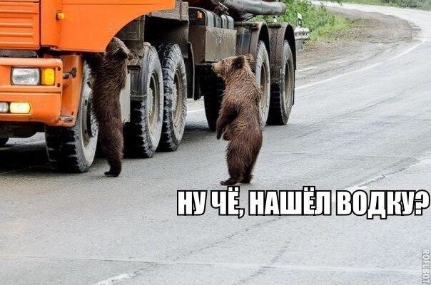 Мохнатые беспредельщики