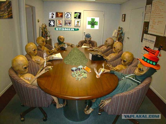Наркоман, штоле? Тогда заходи