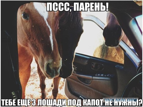 Картинки с текстом на автомобильную и околоавтомобильную тематику