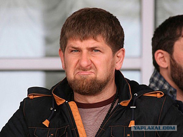Водители массово отказываются от полисов ОСАГО