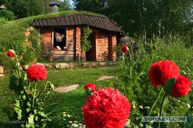 Симпатичный домик в саду