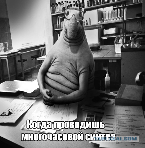 Ждун, спюн и другие