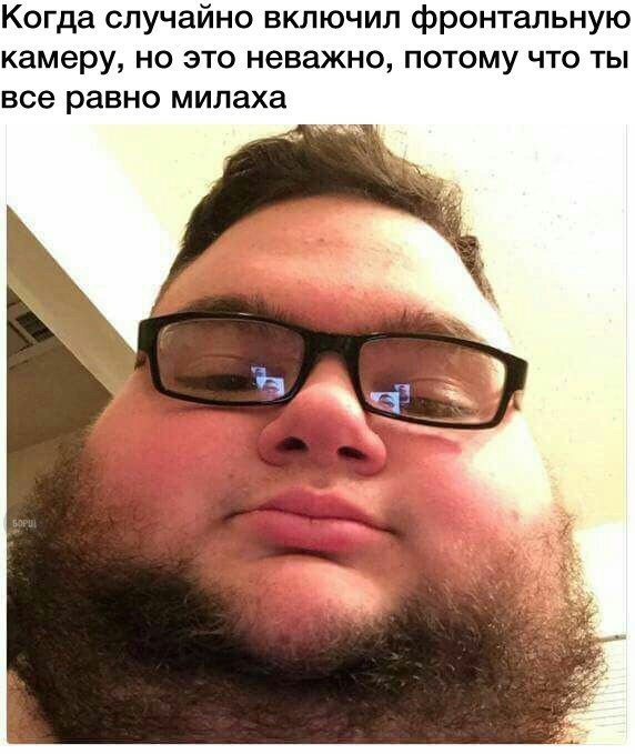 Подборка безудержного веселья