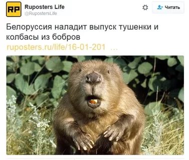 Порция воскресных картинок
