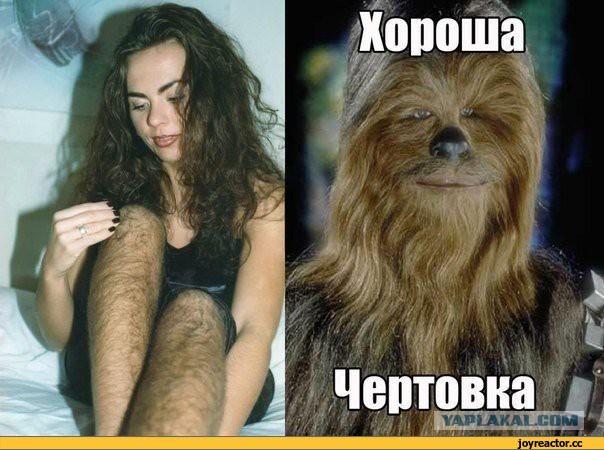 15 примеров, как работает цензура на Ближнем Востоке