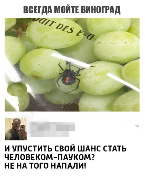 Подборка интересных и веселых картинок