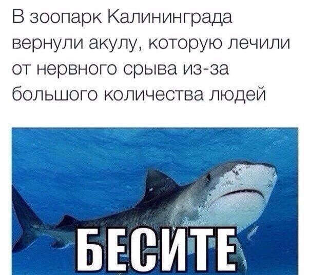Подборка интересных и веселых картинок