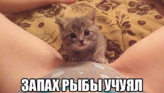 Жена застукала любовницу