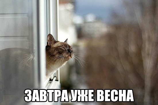 За день до весны