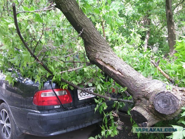 Водитель явно родился в рубашке