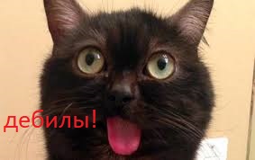 Просто аналитега