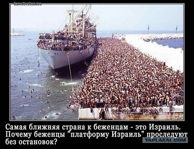В Дании разгорается борьба за паранджу