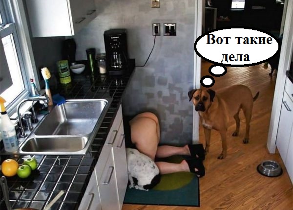 Скотсети и прочие интернеты 28.05.2019