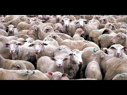 "Студия битком будет забита до потолка пятитысячными купюрами": Пронько не сдержался, рассказывая об изъятых у чиновника миллиар