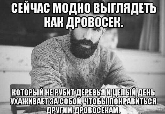 Бородатые телеведущие