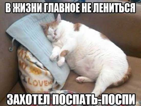 Немного картинок для настроения 28.05.20