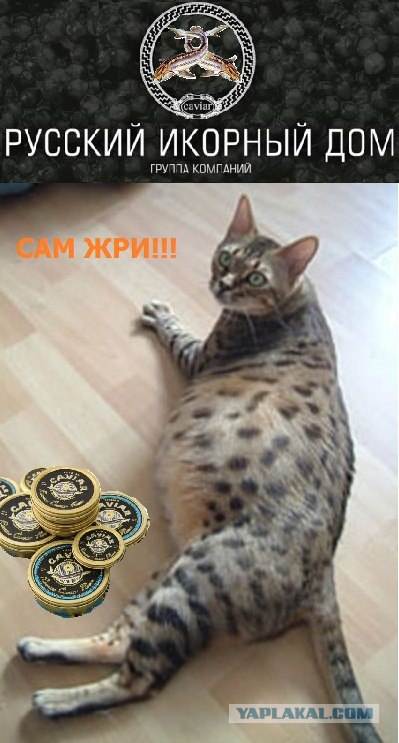 Выиграй 3кг черной икры!