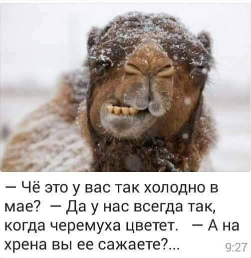 Ржачные мемчики - Часть 1