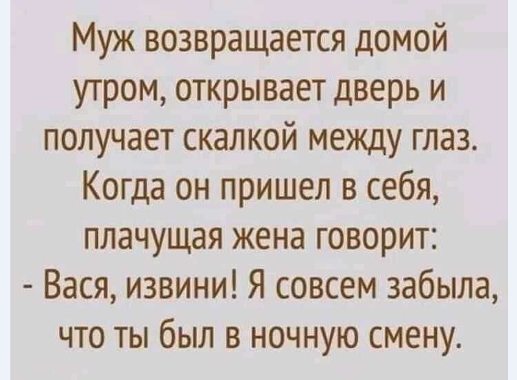 15388474.jpg