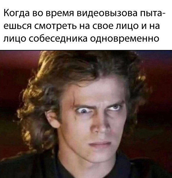 Весёлый полтишок 16.08
